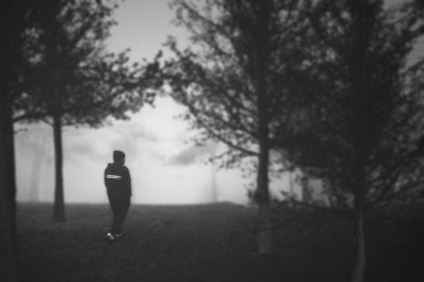 那个人在浓雾中走在森林里图片下载