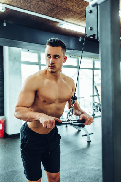 加强上身的力量图片下载