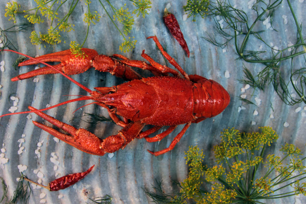 煮熟的小龙虾图片下载