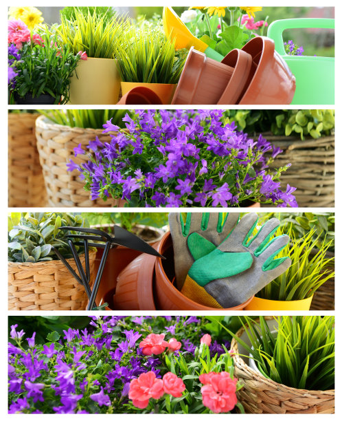 园艺和花卉概念拼贴素材图片