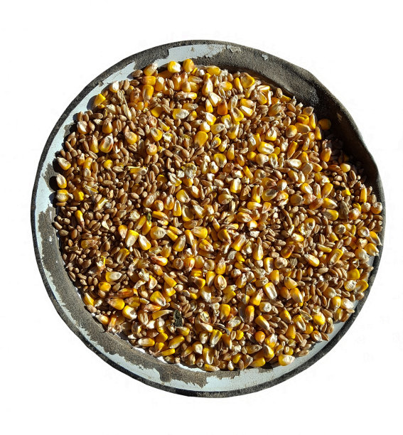 玉米和谷物碗图片下载