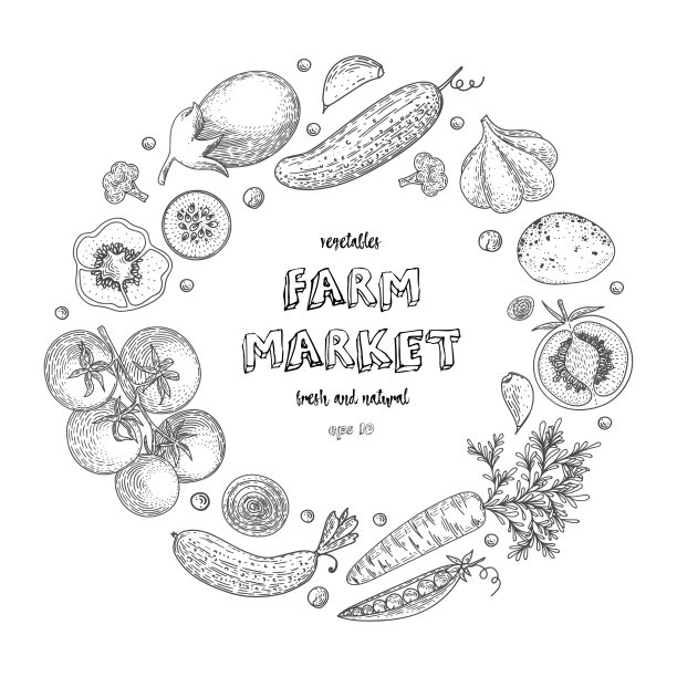 蔬菜矢量圈有黄瓜、番茄、辣椒、茄子、土豆、豌豆、胡萝卜、花椰菜。健康食品设计模板与手绘蔬菜。非常适合设计菜单，食谱，海报。图片下载