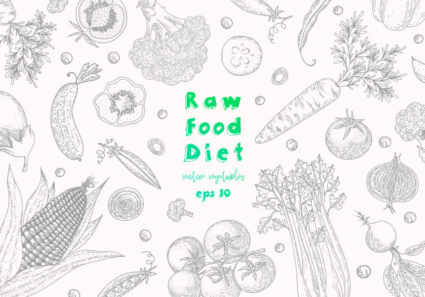 有机食品设计模板。新鲜蔬菜。详细的素食图画。农业市场的产品。适合标签，设计菜单，食谱，海报，包装设计，包装纸。图片下载