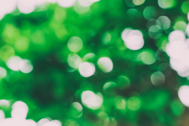 模糊的绿色背景图片下载