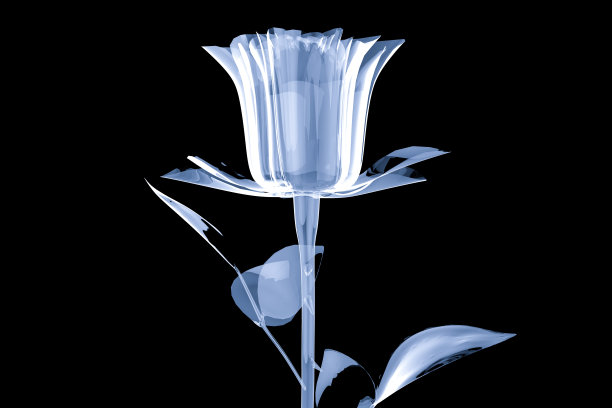 白色玻璃水晶玫瑰孤立在黑色图片下载