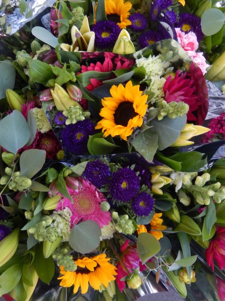 花束向日葵，叶子，万寿菊图片下载
