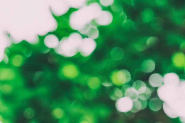 模糊的绿色背景图片下载