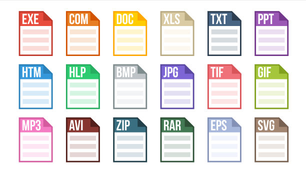 矢量格式文件。各种象形图文件格式类型。软件标签。平的孤立的插图图片下载