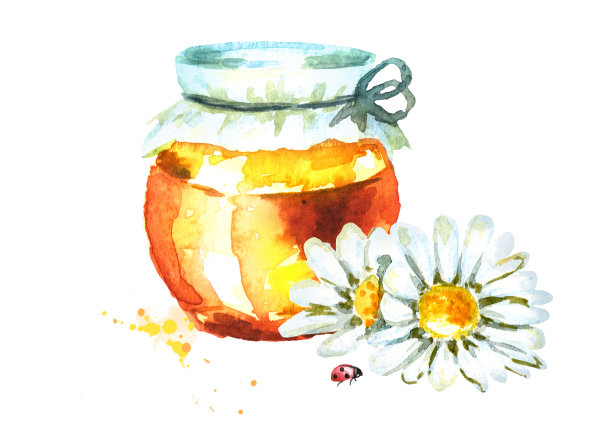 新鲜的蜂蜜和甘菊。水彩手绘插图素材图片