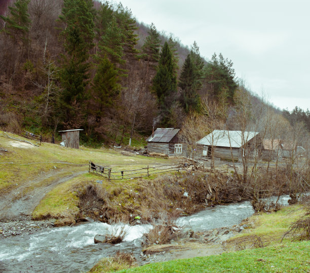 树林里的木屋图片下载