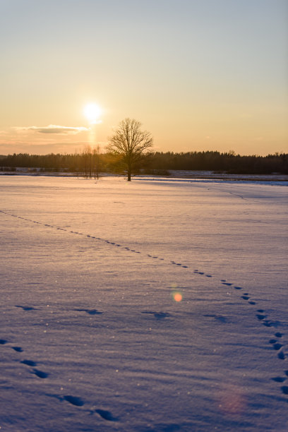 乡间结冰的湖面上积雪上的小路素材图片