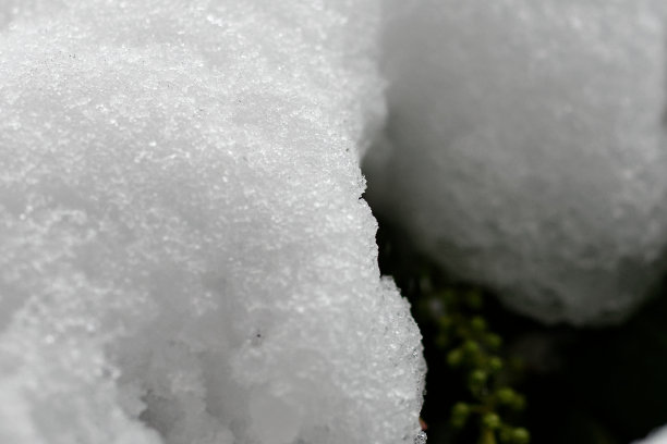 冰和雪微距镜头图片下载