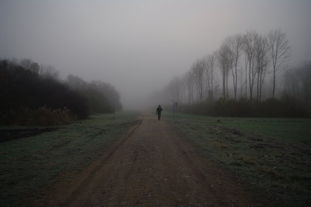 一个人在一个雾天行走图片下载