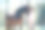 年轻女孩和她最喜欢的棕色马站在一起。图片下载