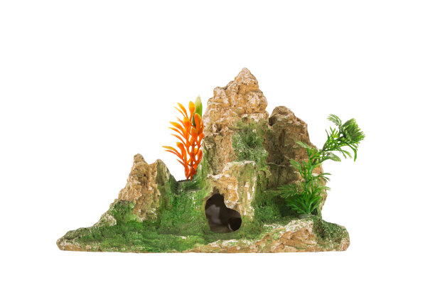 鱼缸装饰图片下载