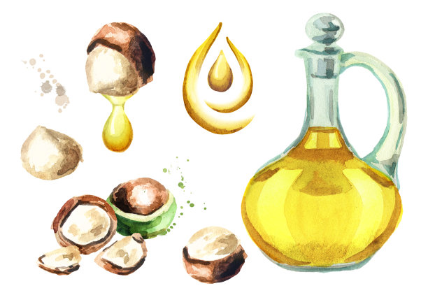 澳洲坚果油套装水彩插画图片下载