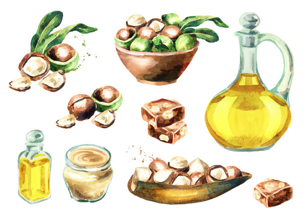 澳洲坚果黄油，油，坚果和巧克力大集合。水彩手绘插图图片下载