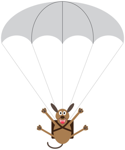 跳伞的狗图片下载