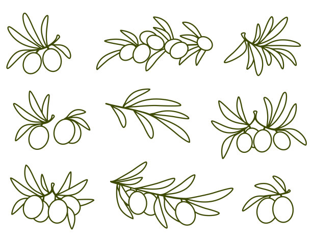 线性橄榄枝组图片下载