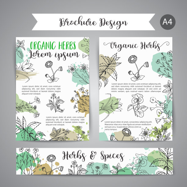 草本和野花。手绘草药设计与香料，药用，化妆品植物。美容商店广告插图，小册子，传单，美容图片下载