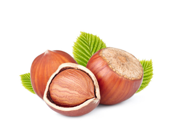 叶子孤立在白色背景上的榛子图片下载