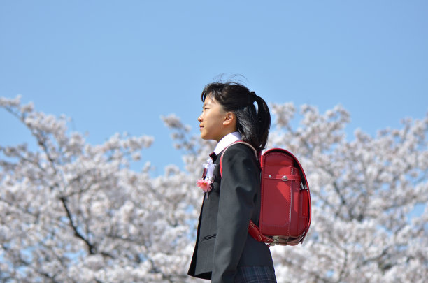 日本小学生(樱花)图片下载