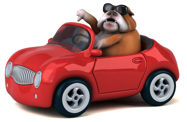 有趣的斗牛犬- 3D插图图片下载