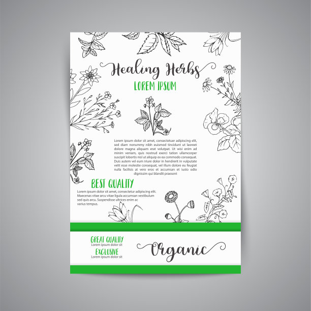 草本和野花图片下载