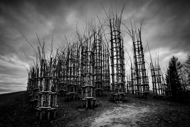 蔬菜大教堂-黑白图像图片下载