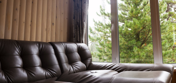沙发和俯瞰夏日森林的窗户图片下载