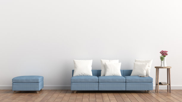 空客厅白色墙壁和浅蓝色沙发，粉红玫瑰在白色花瓶，简约的乡村，3D渲染图片下载