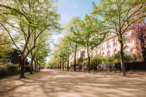春天在巴黎，公园附近的埃菲尔铁塔，巴黎，法国图片下载