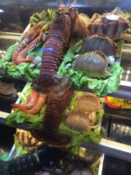 柜台上有新鲜的海鲜图片下载