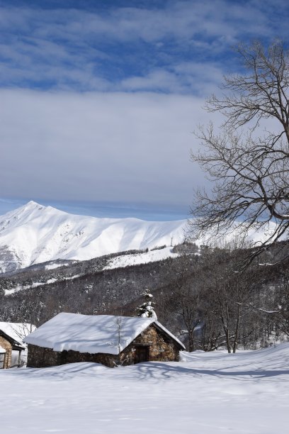 山屋和雪树图片下载