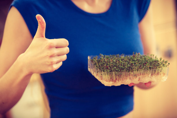 拿着西洋杜鹃的女人图片下载