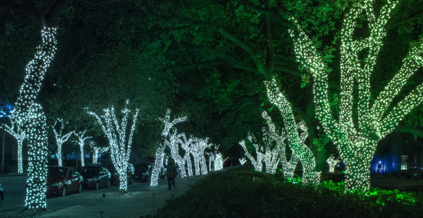 绿色和蓝色的圣诞灯图片下载