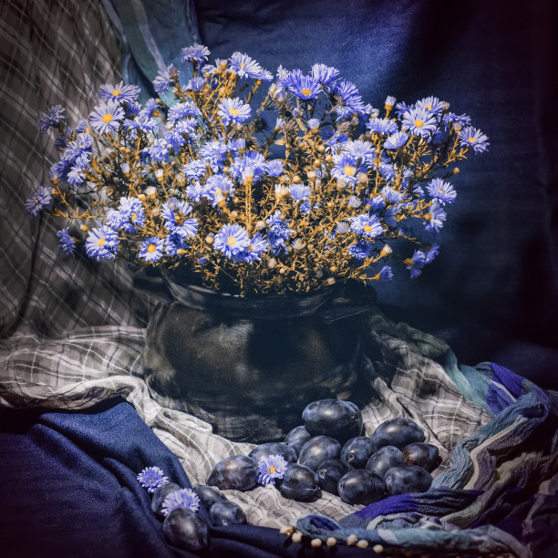 静物秋花梅花。图片下载