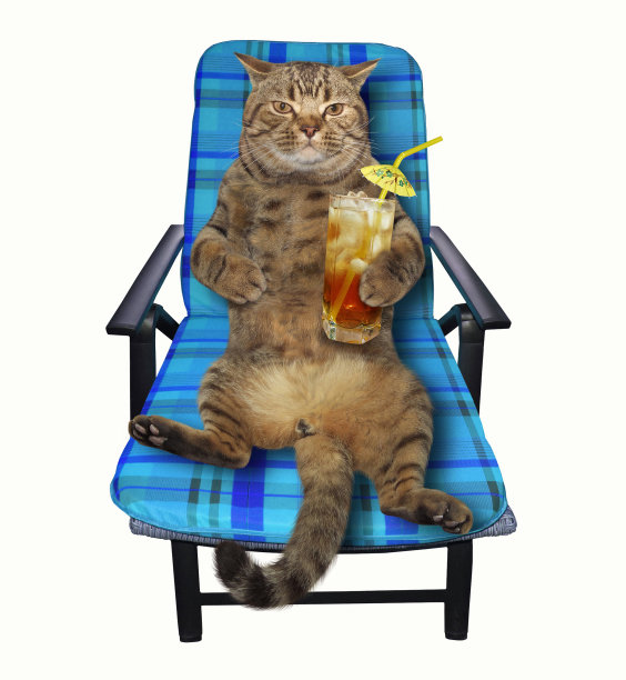 躺椅上的猫图片下载