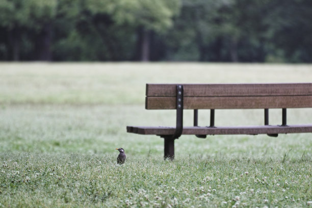 星城在长椅旁图片下载