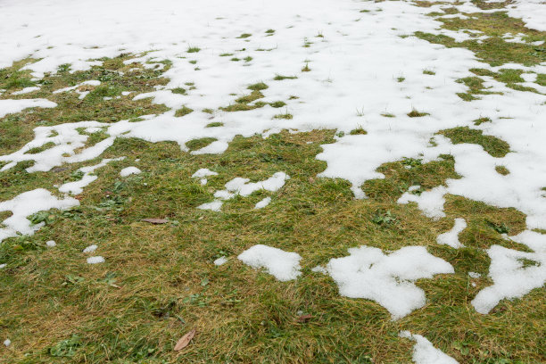 雪在gras，融化图片下载