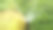 草坪图片素材ID：316191570