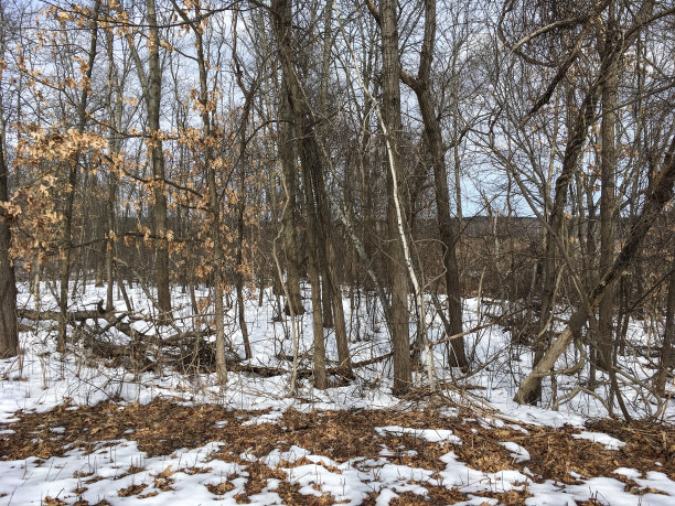 IMG_3920民兵自行车专用道路图片下载