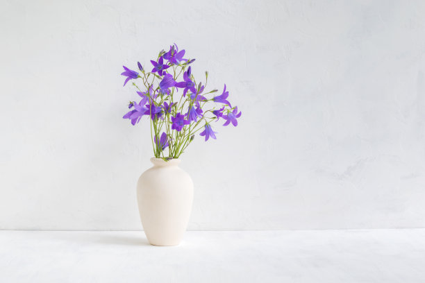 花瓶里放着夏天的花图片下载