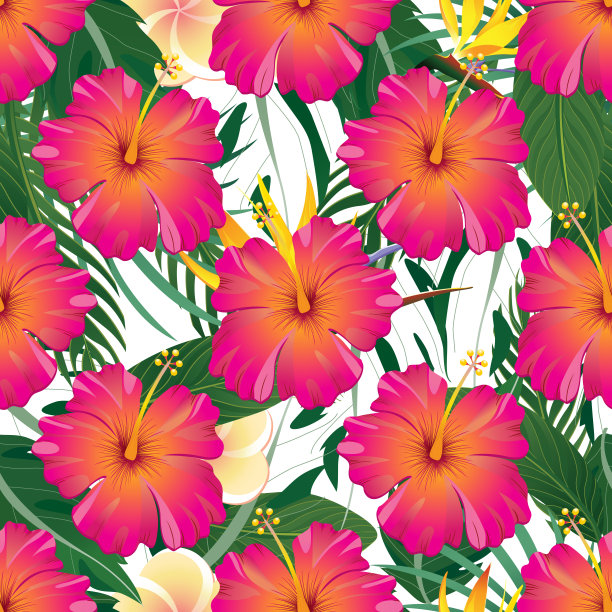 带叶和花的热带模式-矢量图图片下载