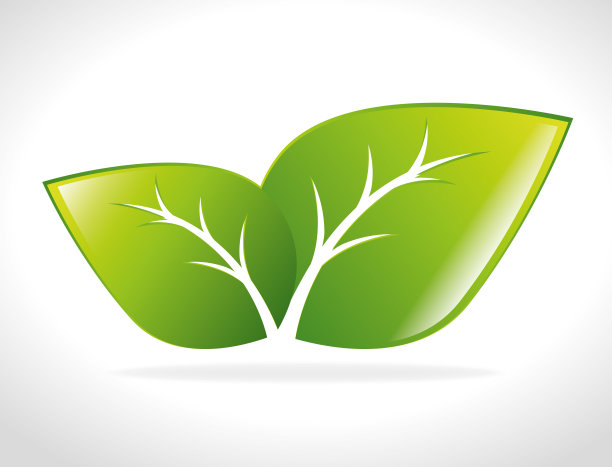 绿色自然与树叶设计图片下载