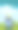 浣熊可爱的动物生日贺卡图片下载