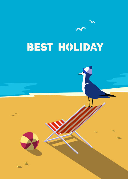 海鸥在seashore.1图片下载