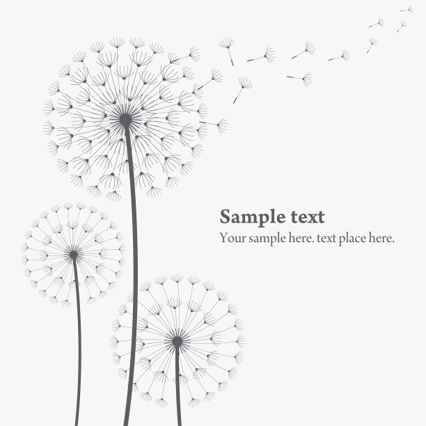 蒲公英图片下载