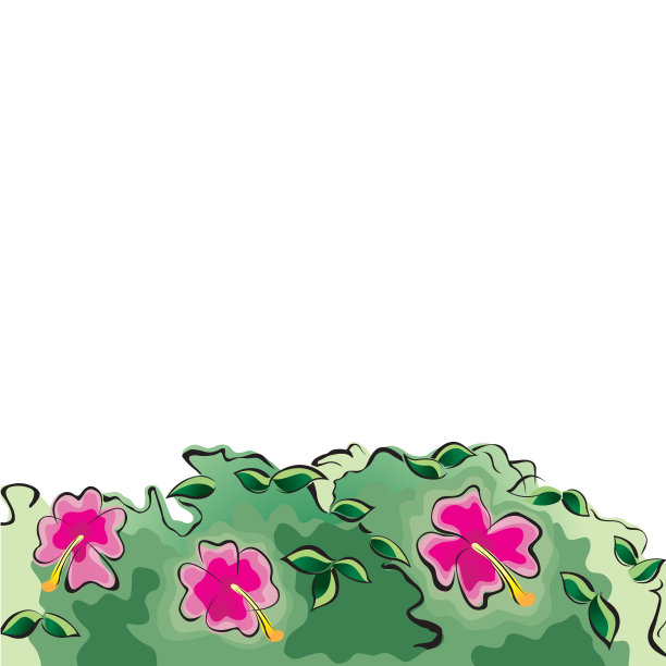 热带设计模板或与木槿花的边界图片下载