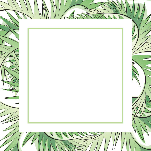 热带设计模板或边缘与棕榈树叶图片下载